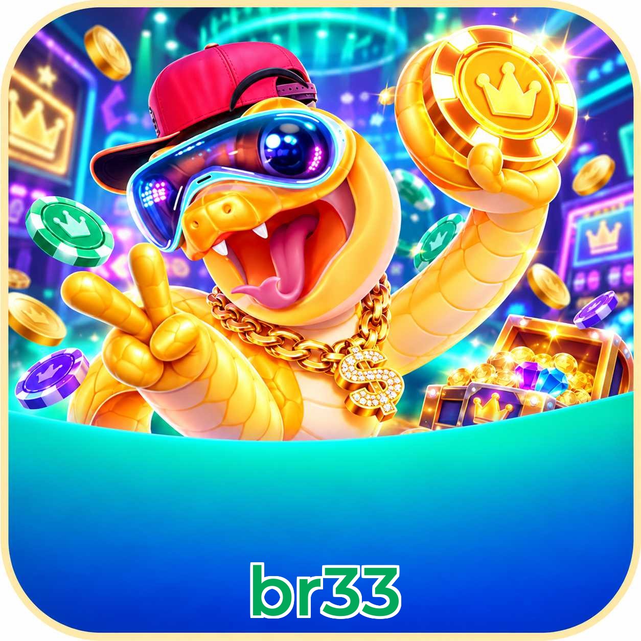 br33 VIP Program