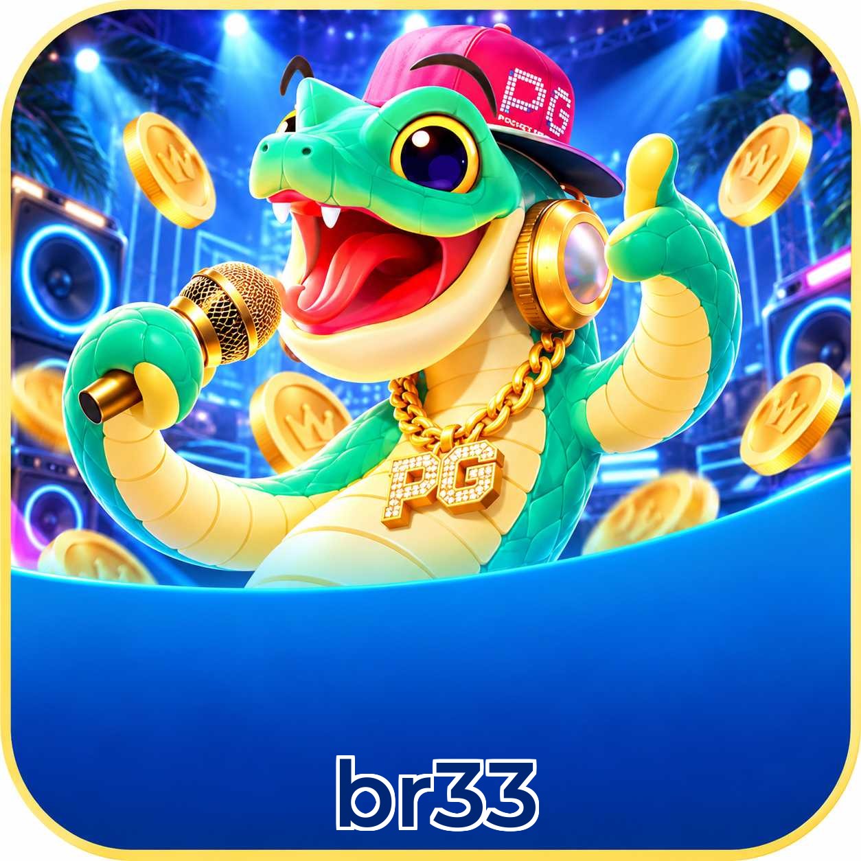 br33 VIP FAQ