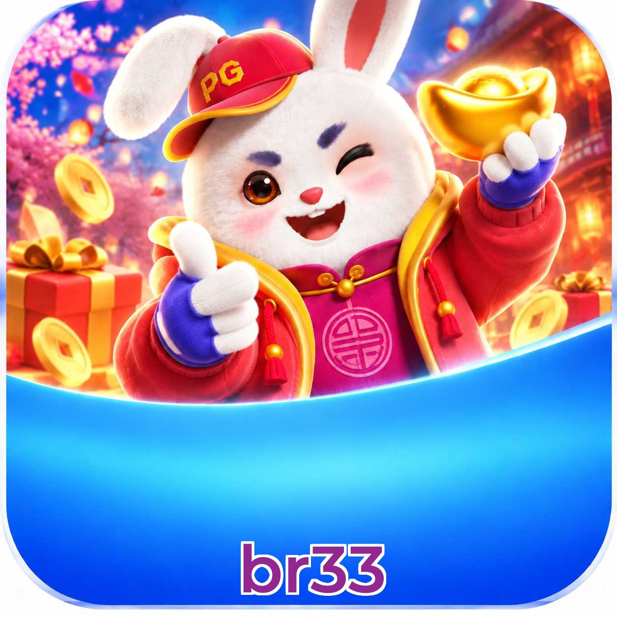 br33 Logo