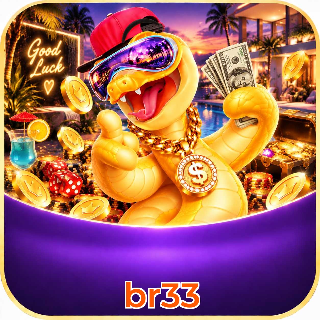 br33 Logo
