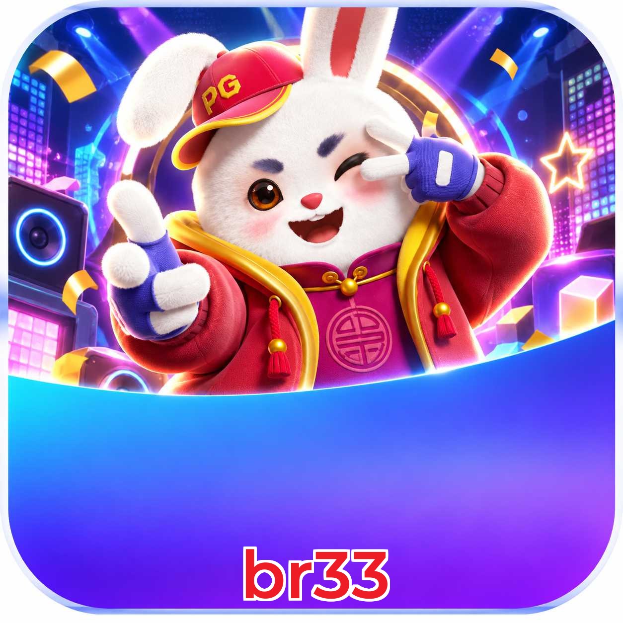 br33 Security